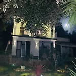 Green Oasis Deda Bozo