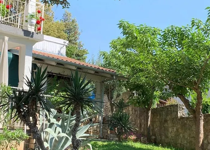 Green Oasis Deda Bozo